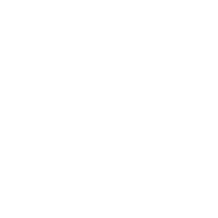 Midlife Shredder